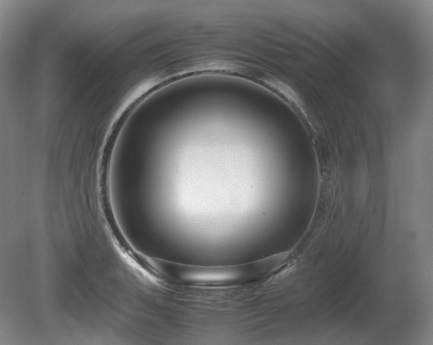 X0000080681135200612151216