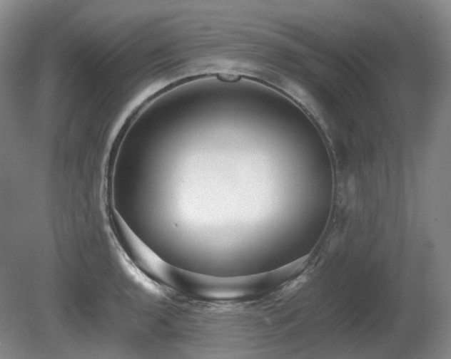 X0000080681136200612151216