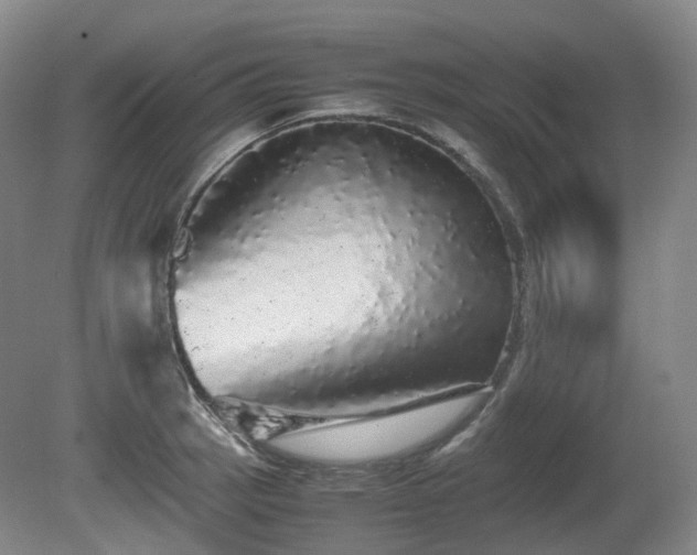 X0000080681137200612151216