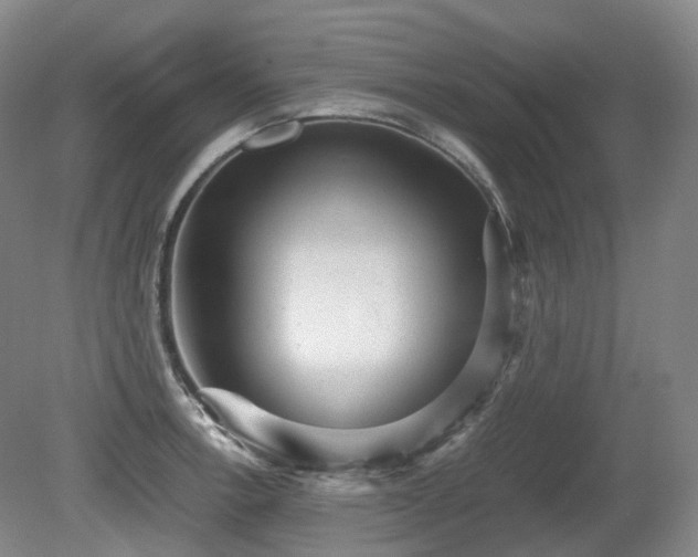 X0000080681138200612151216