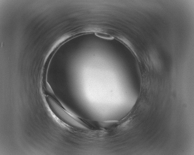 X0000080681139200612151216