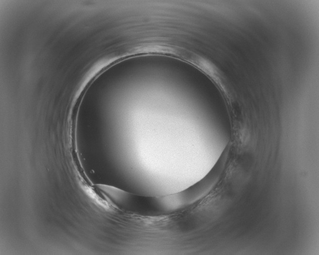 X0000080681140200612151216