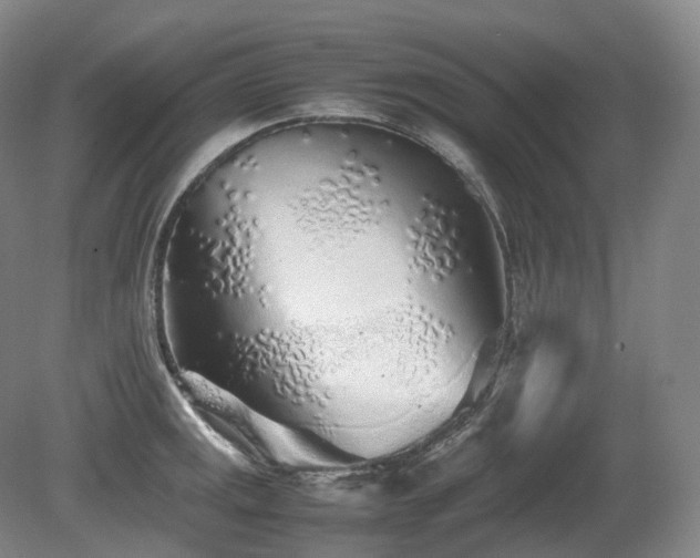 X0000080681141200612151216