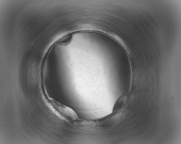 X0000080681142200612151216