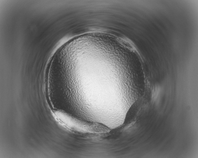 X0000080681143200612151216