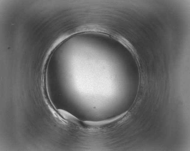 X0000080681144200612151216