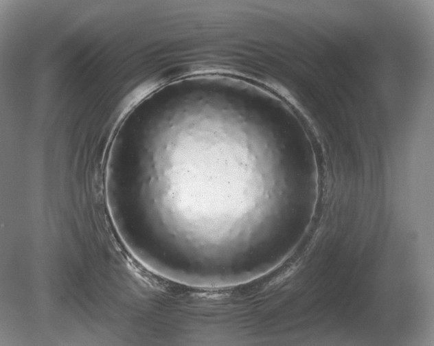 X0000080681145200612151216
