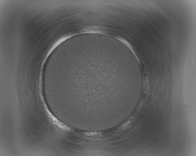 X0000080681147200612151216