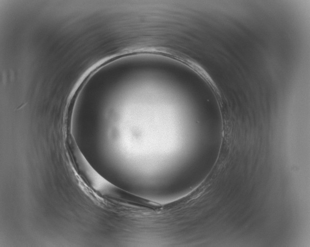 X0000080681148200612151216