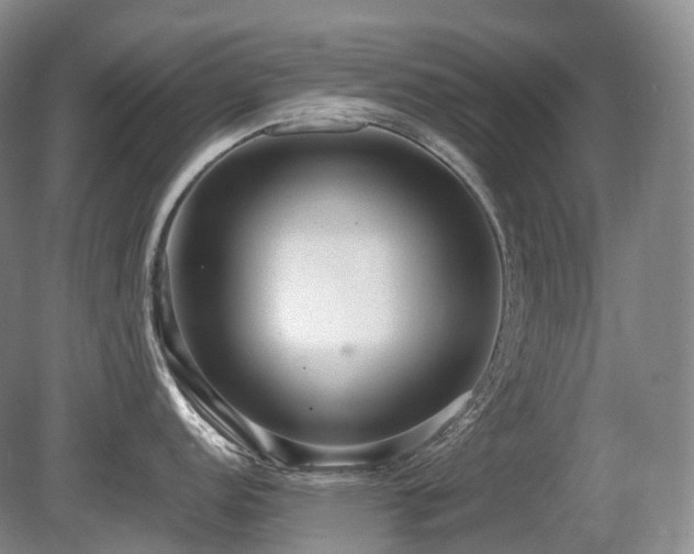 X0000080681152200612151216