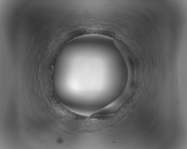 X0000080681153200612151215