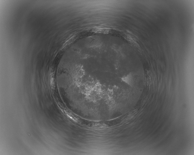 X0000080681154200612151215