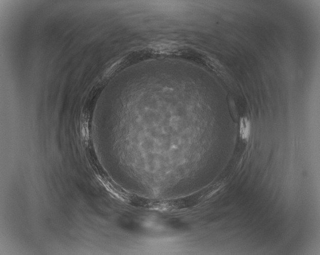 X0000080681155200612151215