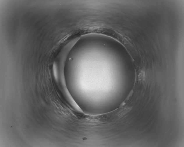 X0000080681156200612151215