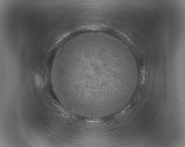 X0000080681158200612151215