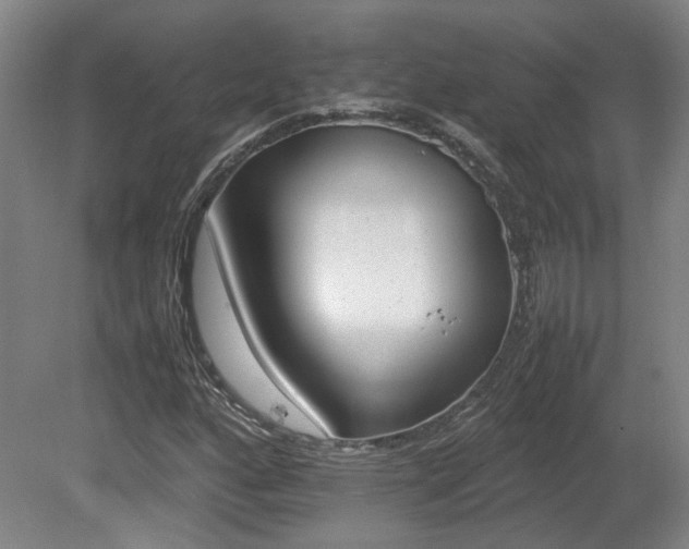 X0000080681160200612151215
