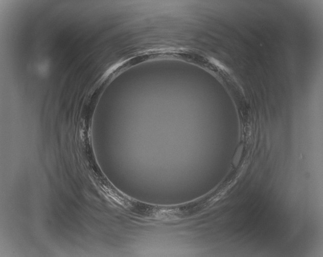 X0000080681161200612151215