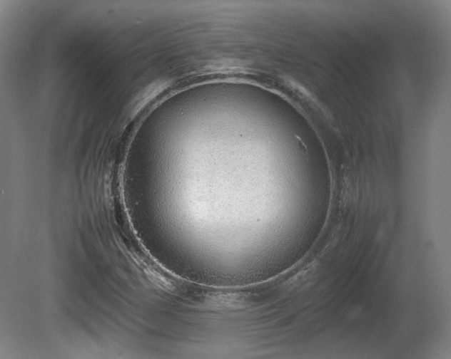 X0000080681162200612151215