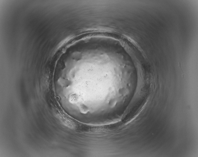 X0000080681163200612151215