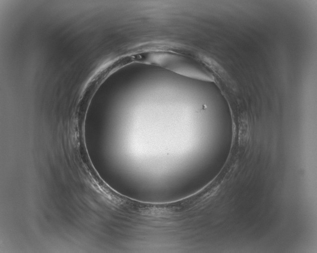 X0000080681164200612151215