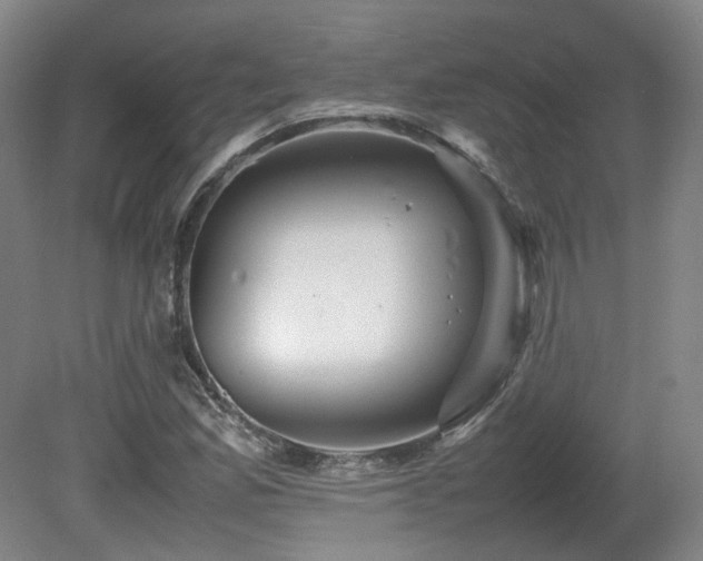 X0000080681165200612151215