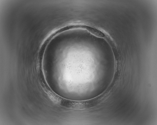 X0000080681167200612151215
