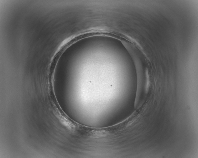 X0000080681168200612151215