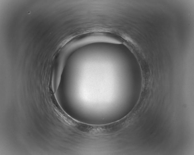 X0000080681169200612151215