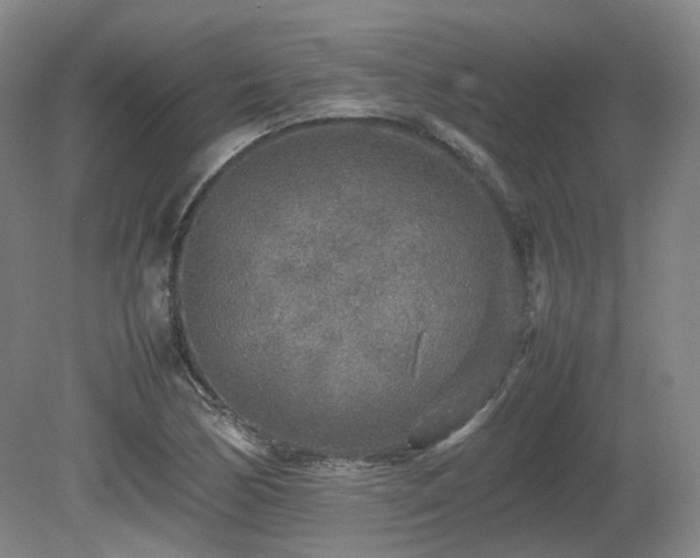 X0000080681170200612151215