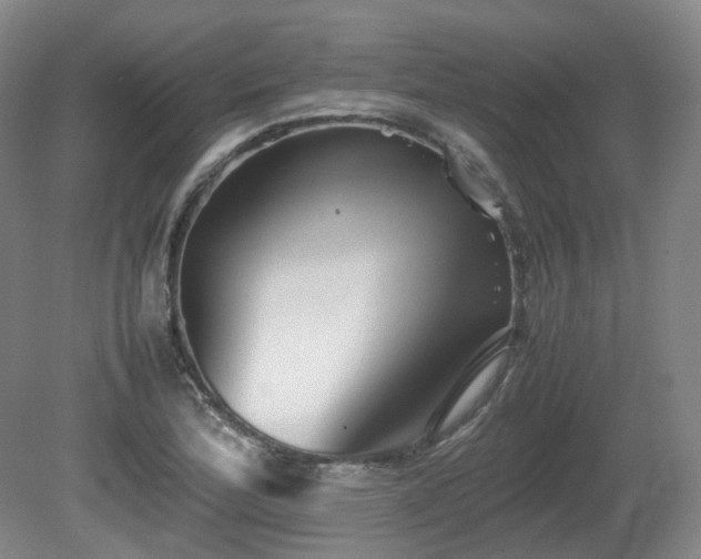 X0000080681172200612151215