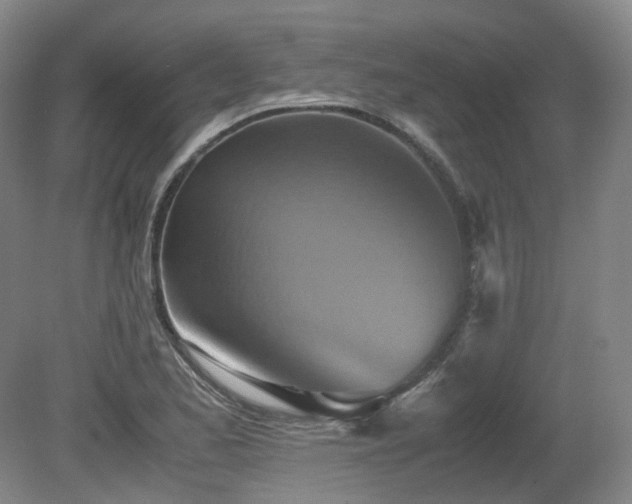 X0000080681173200612151215