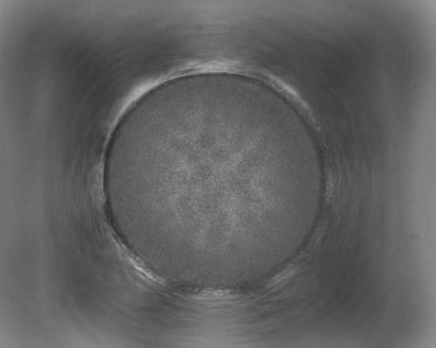 X0000080681174200612151215