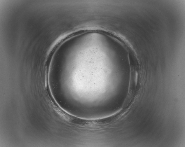 X0000080681175200612151215