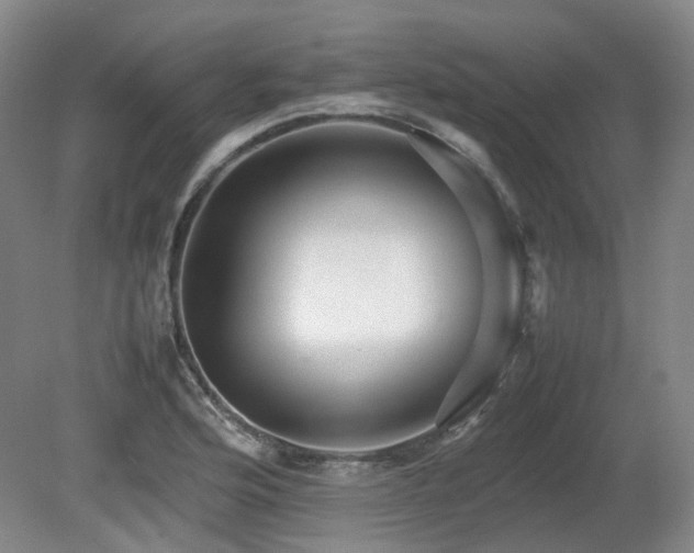 X0000080681176200612151215