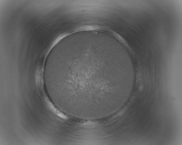 X0000080681178200612151215