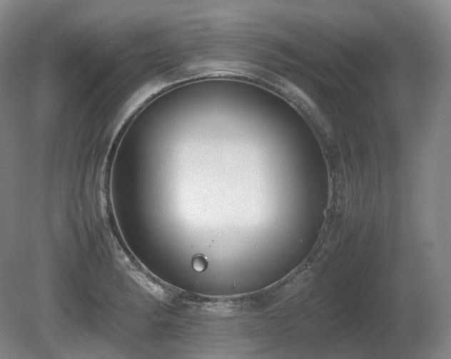 X0000080681182200612151215
