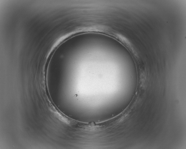 X0000080681184200612151215