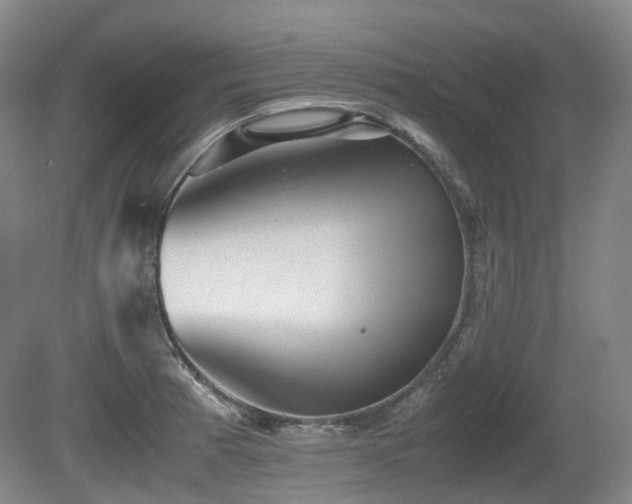 X0000080681185200612151215