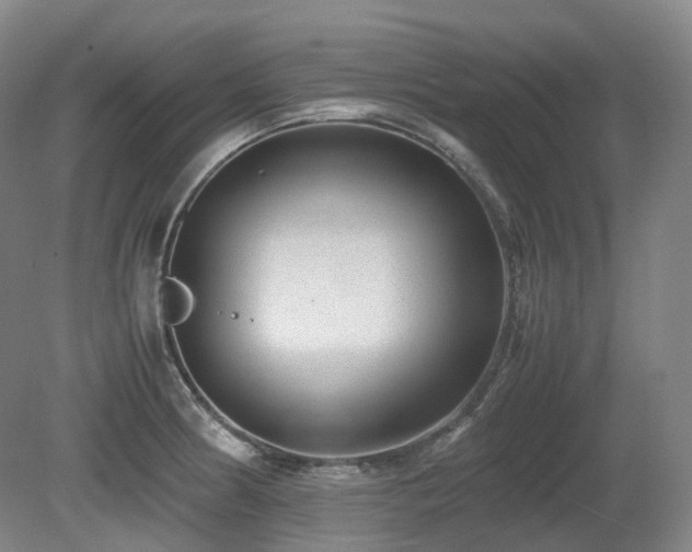 X0000080681186200612151215
