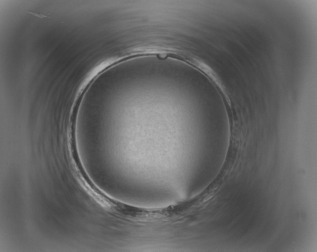 X0000080681187200612151215