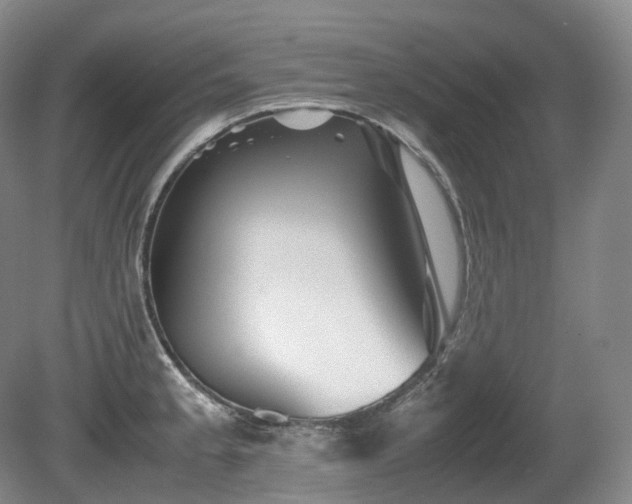 X0000080681189200612151215