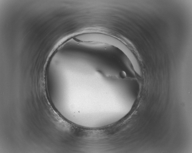 X0000080681192200612151215
