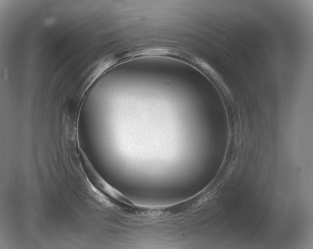 X0000080681193200612151215