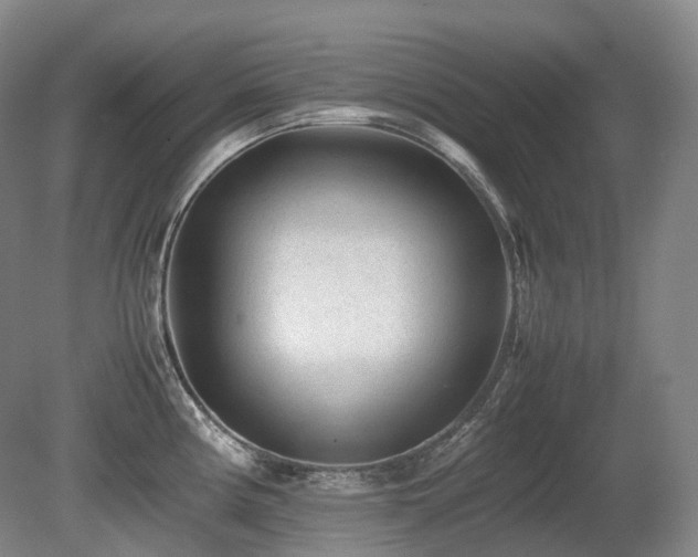 X0000080681194200612151215