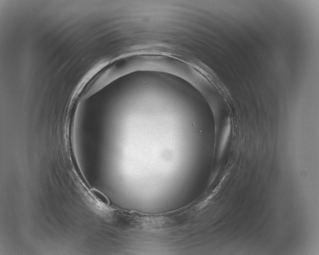 X0000080681196200612151215