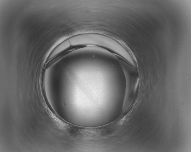 X0000080681197200612151215