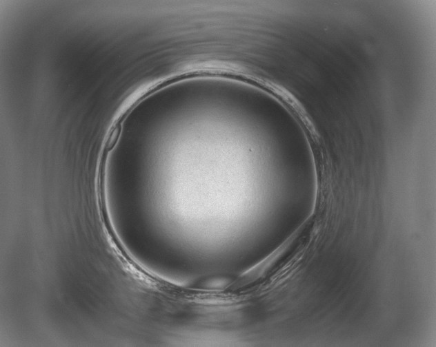 X0000080681199200612151215
