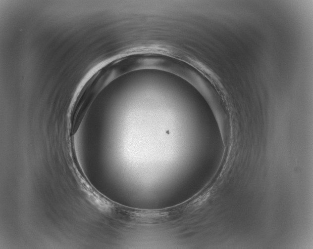 X0000080681200200612151215