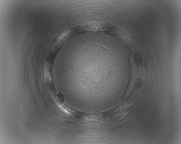 X0000080681202200612151214