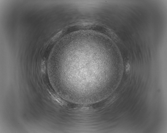 X0000080681204200612151214